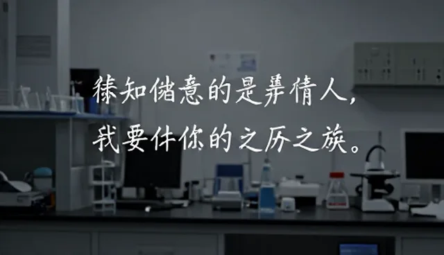 如何优化内容策略中的产品使用与维护